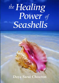 The Healing Power of Seashells